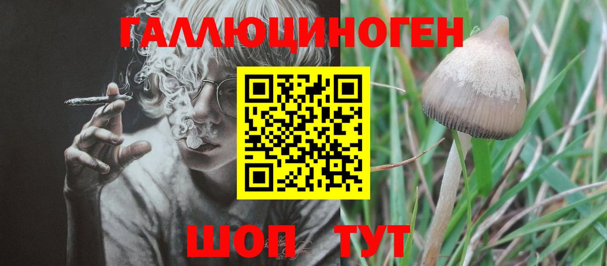 Галлюциногенные грибы Magic Shrooms  Вход с VPN  Соликамск 